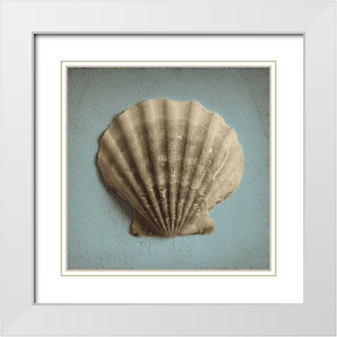 Seashell Study II White Modern Wood Framed Art Print with Double Matting by Jacks, Heather