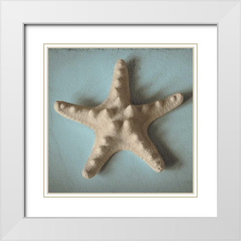 Seashell Study III White Modern Wood Framed Art Print with Double Matting by Jacks, Heather