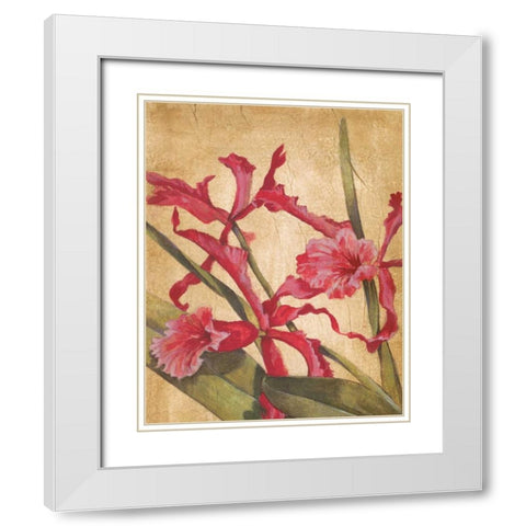 Hawaiian Tropics I White Modern Wood Framed Art Print with Double Matting by Jardine, Liz