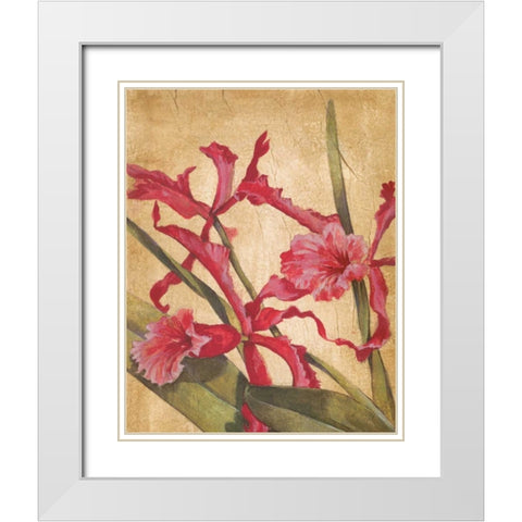 Hawaiian Tropics I White Modern Wood Framed Art Print with Double Matting by Jardine, Liz