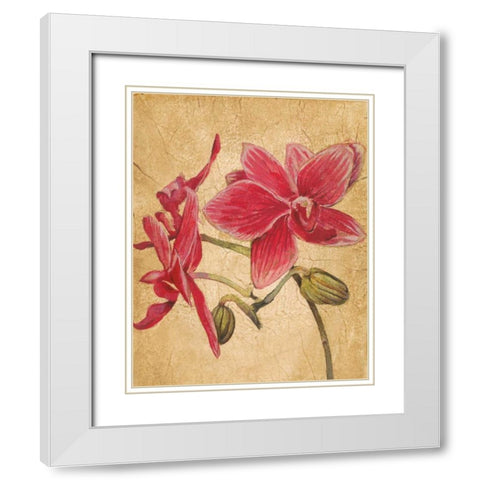 HawaiianTropics II White Modern Wood Framed Art Print with Double Matting by Jardine, Liz