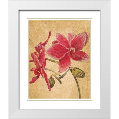 HawaiianTropics II White Modern Wood Framed Art Print with Double Matting by Jardine, Liz