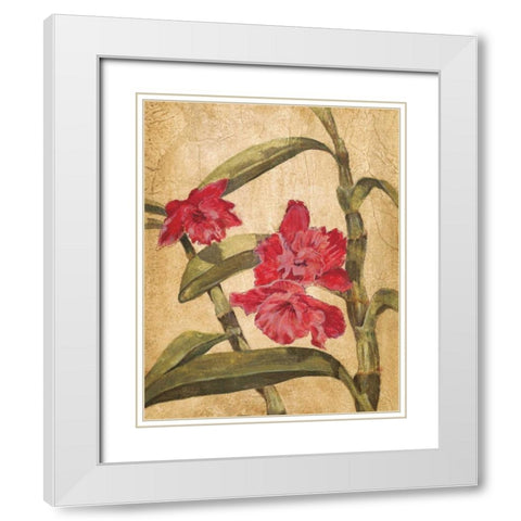 Hawaiian Tropics III White Modern Wood Framed Art Print with Double Matting by Jardine, Liz