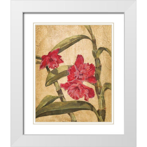 Hawaiian Tropics III White Modern Wood Framed Art Print with Double Matting by Jardine, Liz