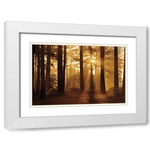 Tahoe Smoky Sunrise White Modern Wood Framed Art Print with Double Matting by Jones, Mike