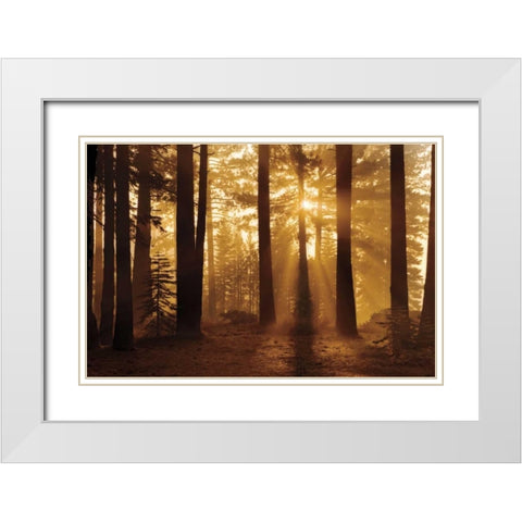Tahoe Smoky Sunrise White Modern Wood Framed Art Print with Double Matting by Jones, Mike