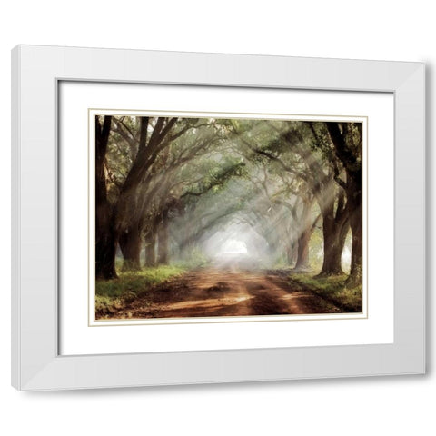Evergreen Plantation White Modern Wood Framed Art Print with Double Matting by Jones, Mike