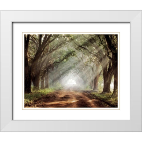 Evergreen Plantation White Modern Wood Framed Art Print with Double Matting by Jones, Mike