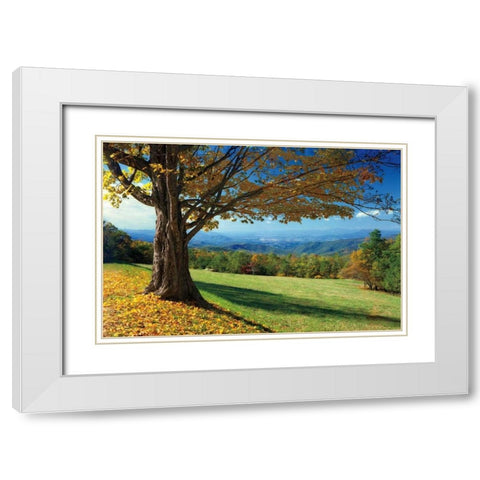 Blue Ridge Beauty White Modern Wood Framed Art Print with Double Matting by Jones, Mike