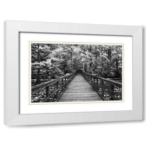 A Walk Into Tranquility White Modern Wood Framed Art Print with Double Matting by Jones, Mike