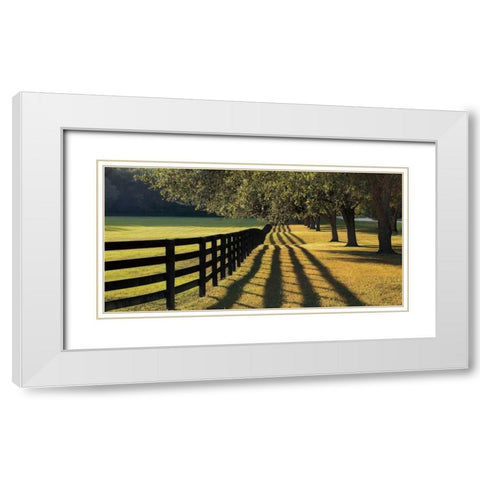 Chasing Shadows White Modern Wood Framed Art Print with Double Matting by Jones, Mike