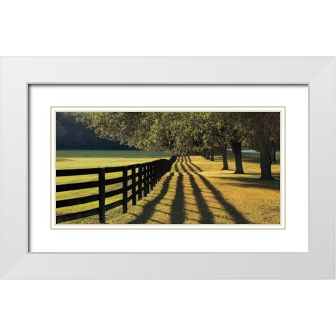 Chasing Shadows White Modern Wood Framed Art Print with Double Matting by Jones, Mike