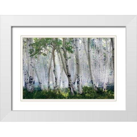 Up In The Clouds White Modern Wood Framed Art Print with Double Matting by Jones, Mike