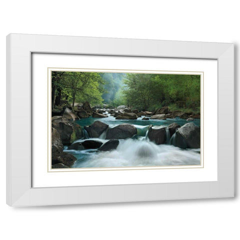 Secret Passage White Modern Wood Framed Art Print with Double Matting by Jones, Mike