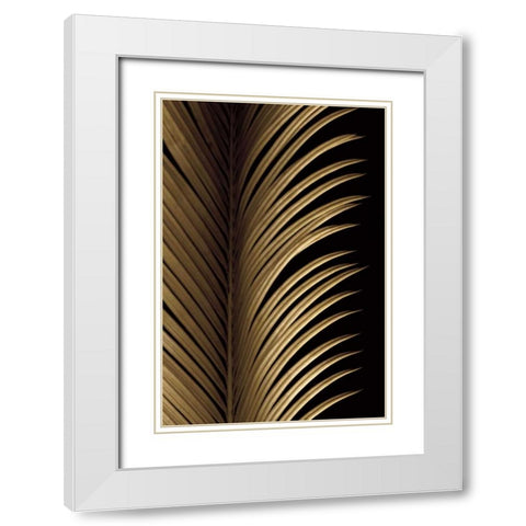 Tropical Leaf Study I White Modern Wood Framed Art Print with Double Matting by Levine, Andrew