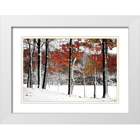 SnowFall White Modern Wood Framed Art Print with Double Matting by Lieberman , Burney
