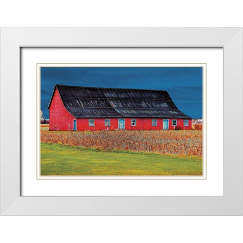 Big Red White Modern Wood Framed Art Print with Double Matting by Lieberman , Burney