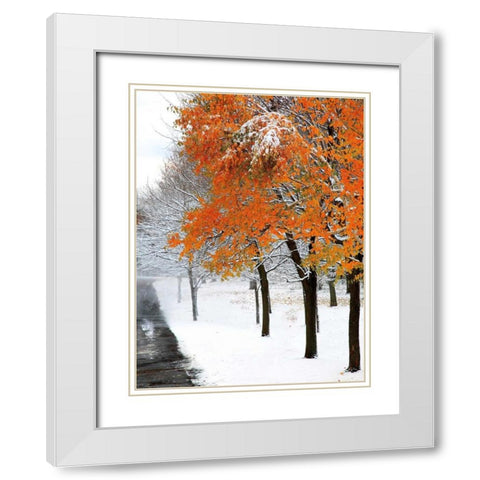 SnowFall III White Modern Wood Framed Art Print with Double Matting by Lieberman , Burney