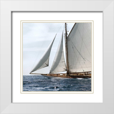 Sailing South White Modern Wood Framed Art Print with Double Matting by Llovet, Jorge