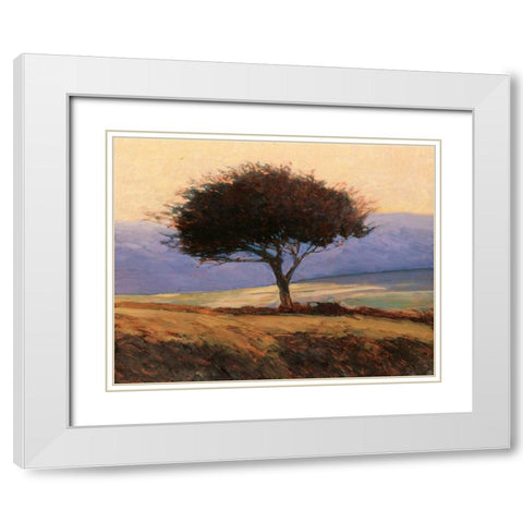 Cloondaff White Modern Wood Framed Art Print with Double Matting by Lovelace, Kent