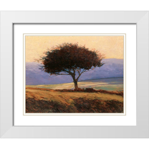 Cloondaff White Modern Wood Framed Art Print with Double Matting by Lovelace, Kent