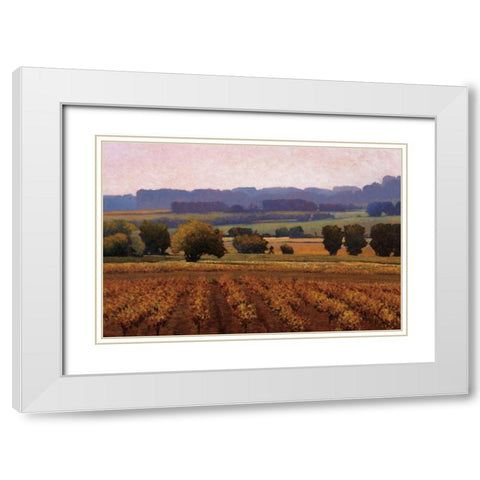 Terroir White Modern Wood Framed Art Print with Double Matting by Lovelace, Kent