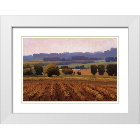 Terroir White Modern Wood Framed Art Print with Double Matting by Lovelace, Kent