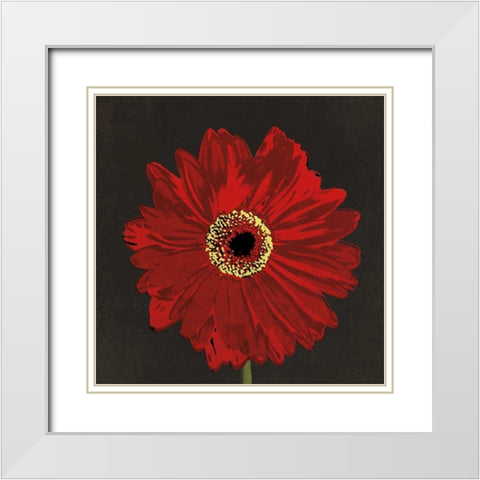 Midnight Gerbera III White Modern Wood Framed Art Print with Double Matting by Lacie, Robert
