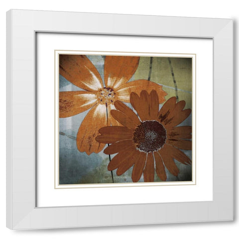 In the Cosmos White Modern Wood Framed Art Print with Double Matting by Lacie, Robert