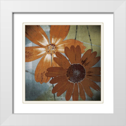 In the Cosmos White Modern Wood Framed Art Print with Double Matting by Lacie, Robert