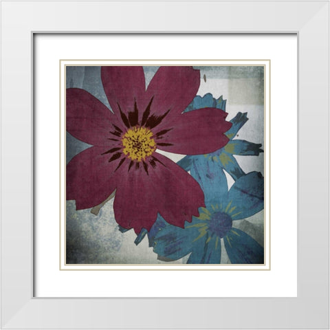 In the Cosmos White Modern Wood Framed Art Print with Double Matting by Lacie, Robert