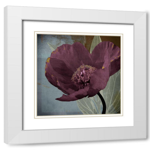 Blooming Jewels White Modern Wood Framed Art Print with Double Matting by Lacie, Robert