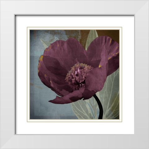 Blooming Jewels White Modern Wood Framed Art Print with Double Matting by Lacie, Robert