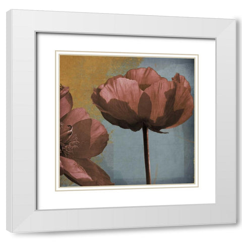 Blooming Jewels White Modern Wood Framed Art Print with Double Matting by Lacie, Robert