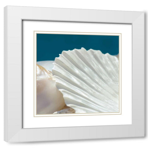 Fantastic White Modern Wood Framed Art Print with Double Matting by Marie, Dina