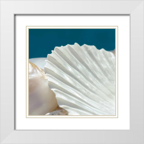 Fantastic White Modern Wood Framed Art Print with Double Matting by Marie, Dina