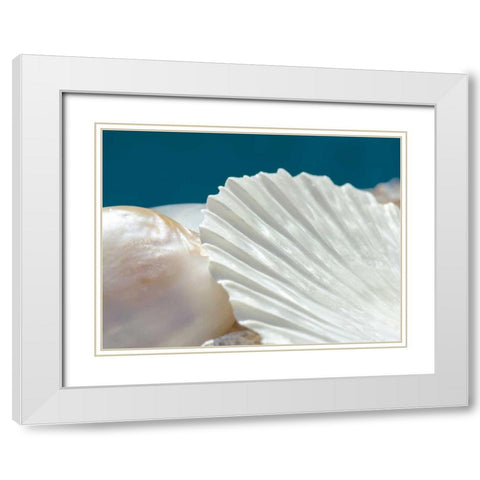 Fantastic White Modern Wood Framed Art Print with Double Matting by Marie, Dina