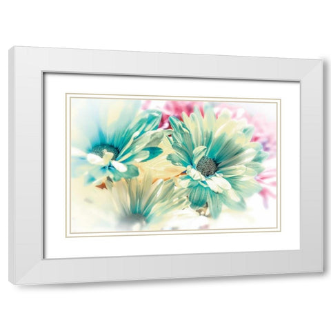 Colored Stars White Modern Wood Framed Art Print with Double Matting by Marie, Dina