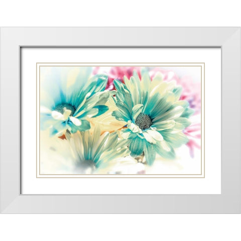 Colored Stars White Modern Wood Framed Art Print with Double Matting by Marie, Dina