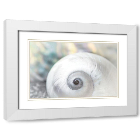 Pearl Lite Seashell White Modern Wood Framed Art Print with Double Matting by Marie, Dina