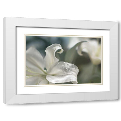 Charmed White Modern Wood Framed Art Print with Double Matting by Marie, Dina