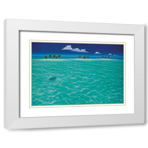 Turtle Crossing White Modern Wood Framed Art Print with Double Matting by Mackin, Dan