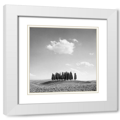 Cypress Trees White Modern Wood Framed Art Print with Double Matting by Miele, Jean