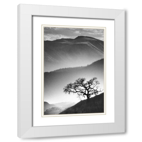 Black Oak White Modern Wood Framed Art Print with Double Matting by Miele, Jean
