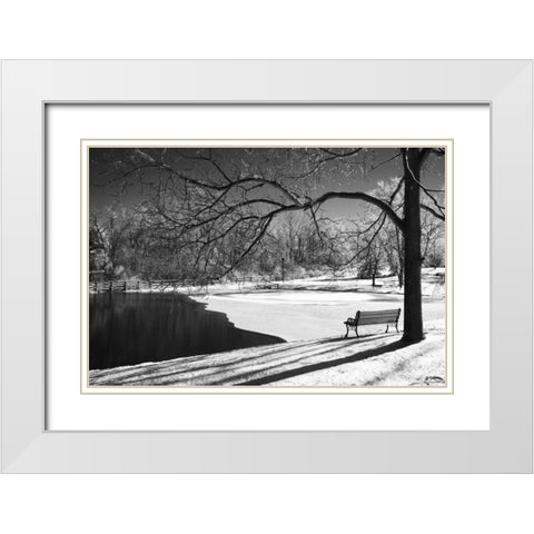 Heritage Pond in Winter White Modern Wood Framed Art Print with Double Matting by Nagler, Monte