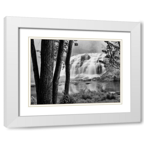 Bond Falls and Trees White Modern Wood Framed Art Print with Double Matting by Nagler, Monte