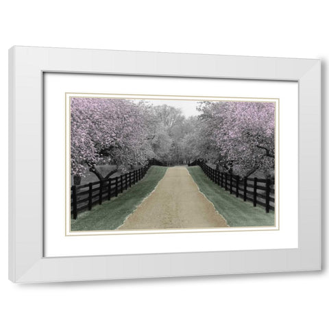 Apple Blossom Lane White Modern Wood Framed Art Print with Double Matting by Nagler, Monte