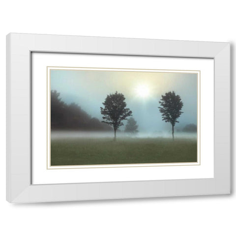 Sunburst White Modern Wood Framed Art Print with Double Matting by Nagler, Monte