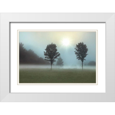 Sunburst White Modern Wood Framed Art Print with Double Matting by Nagler, Monte