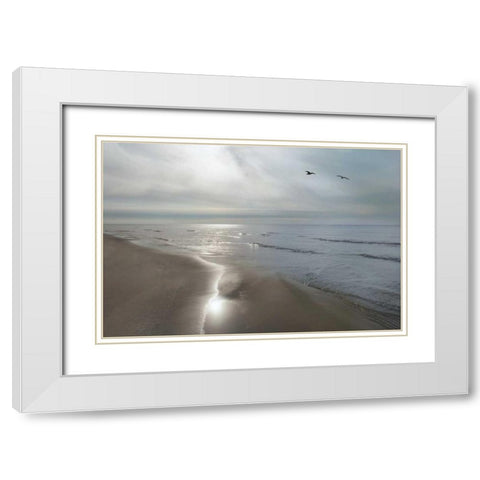 Beach Flight White Modern Wood Framed Art Print with Double Matting by Nagler, Monte